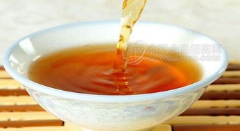 小米釀批發(fā)與招商指南 廠家直供、價(jià)格趨勢(shì)與酒類市場(chǎng)機(jī)遇